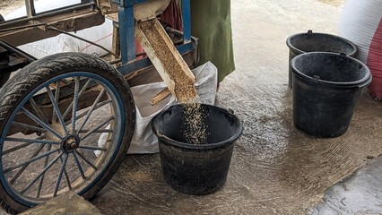 A traditional milling cart processes rice, funneling them into sacks and buckets. The scene captures the essence of rural agriculture, combining manual effort with simple machinery.