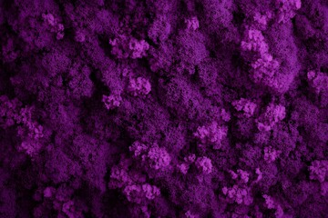 A textured purple background resembling moss or abstract floral patterns.