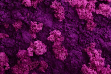 Abstract image of textured purple powder resembling coral formations.