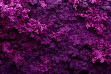 A textured background featuring various shades of purple, resembling organic forms or patterns.