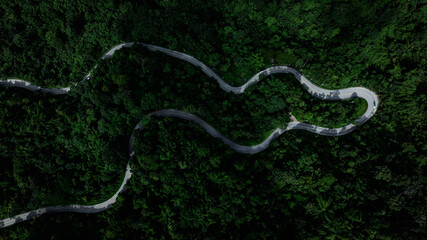 beautiful curve road and green forest in the rain season for backgrounds, rural routes connecting the city in north of thailand.