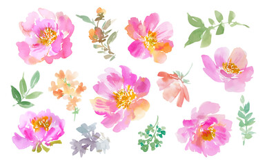 Vector illustration set of abstract pink wild roses and wild flowers painted in watercolor. Watercolor botanical clip art collection for wedding invitation, fabric, stationary and wall papaer.