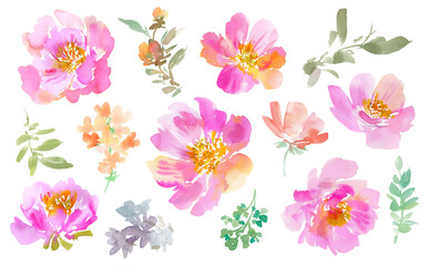 png illustration set of abstract pink wild roses and wild flowers painted in watercolor. Watercolor botanical clip art collection with transparent background for wedding invitation and cards.