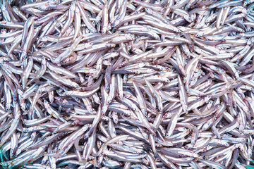Freshly Caught Anchovies Piled Together in a Market Display, Showcasing Their Shiny Scales and Clear Eyes in an Abundance of Silver and Blue
