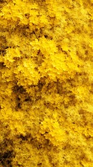 A close-up of vibrant yellow foliage, creating a textured, abstract appearance.