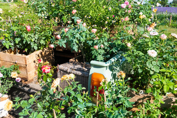 Obraz premium Retro car with Rose flowers inside and blue sky,decorative car with flowers, with bright sun summer landscape background,holiday sunny day,space for text.