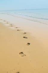 Footprints of human feet on the sand near the water on the beach.