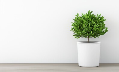 Fototapeta premium Minimalist serenity living room concept, Potted plant against a minimalist white wall, adding greenery to a modern space.