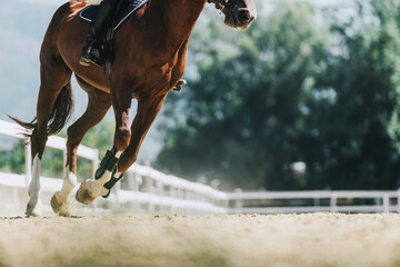 A horse is captured mid-gallop on a sandy track, showcasing speed and strength during an equestrian...
