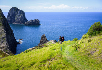 Backpacker hiking Cape Brett Track. Piercy Island, also known as The “Hole in the Rock”, in the...