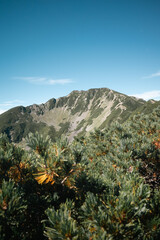 仙丈ヶ岳の稜線