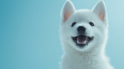 Adorable White Puppy Smiling, Happy Dog, Blue Background, Pet