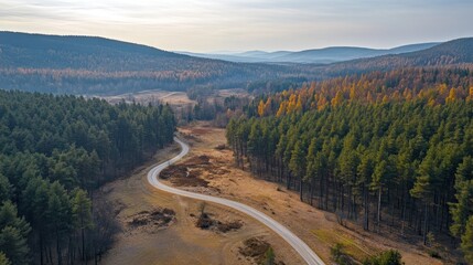 Scenic winding road through a forested landscape