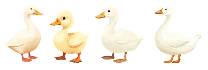PNG Cute ducks illustration vector art set on transparent background