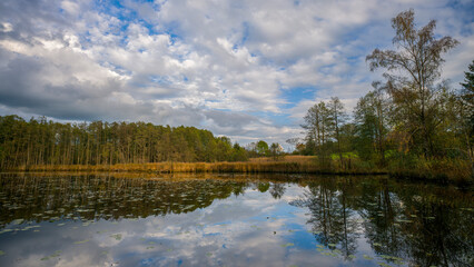 ein Teich in dem sich die Landschaft spiegelt