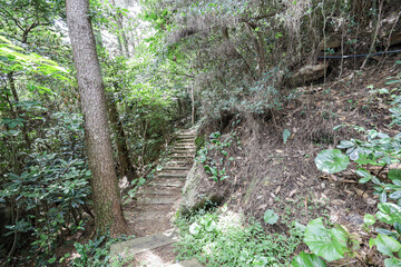 산을 올라가는 숲길, 제주 서귀포시 보목동 제지기오름