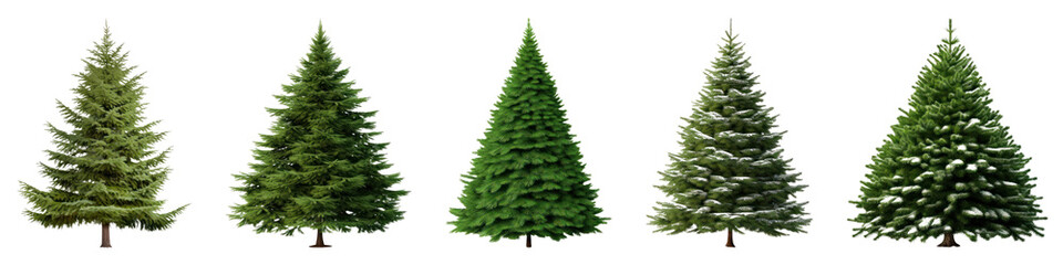 Fototapeta premium PNG Christmas tree set on transparent background