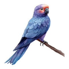 Naklejka premium Purple and blue parrot perched on a branch, exotic bird illustration with vibrant colors, tropical wildlife art