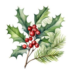 Watercolor Holly and Pine Christmas Arrangement