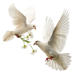 Obraz premium World peace Day