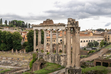 Fototapeta premium Ruins of the Roman Forum at Palatino hill in Roma, Italy.