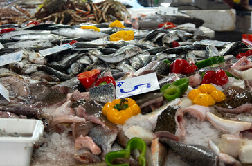 fresh fish at the local market,Costa Nova, Aveiro, Portugal