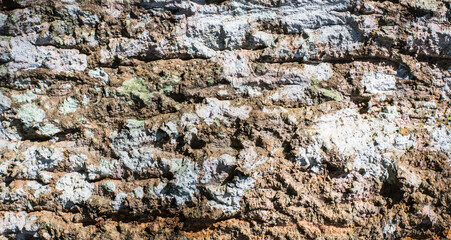The texture of the wood is naturally old.