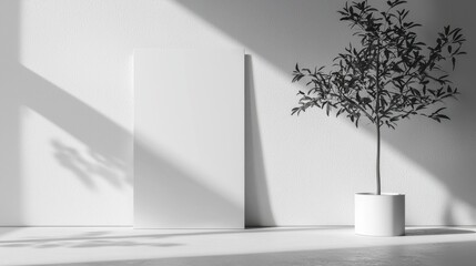 Obraz premium Minimalistic Clean Background Mockup Template with Tree and Shadow for Modern Design Projects