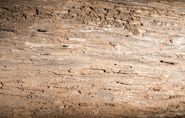 The texture of the wood is naturally old.