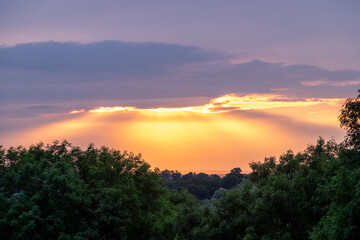 Colourful sunrise and crepuscular rays in distance with trees in foreground