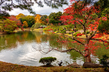 Rikugien garden in autumn, Tokyo, Japan