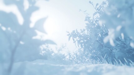 Winter Frost Envelops Plants In A Soft Blue Light