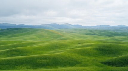 Fototapeta premium Rolling Green Hills Under a Cloudy Sky