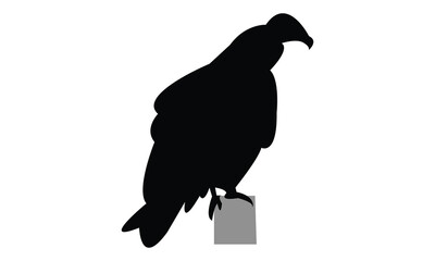 Vulture Bird Silhouette Design  And Vector Illustration. 