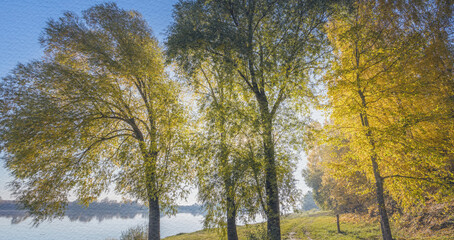 Beautiful scene of a forest with three trees
