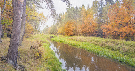 Obraz premium River with trees on either side
