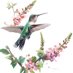 Wonderful bird and flower image