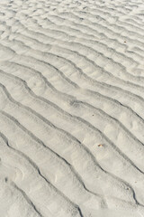 ripples in the sand