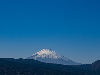 Fototapeta premium 富士山。東側。冬の晴天。山麓は、一度積もった雪が強風で吹き飛ばされた。 神奈川県小田原市内より。 Mt. East side. Clear winter sky. At the foot of the mountain, once accumulated snow was blown away by strong wind. Mt. Fuji. East side.
