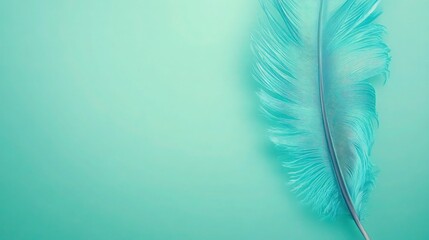 A turquoise angel feather set against a mint green background, its luminous edges creating a calming, harmonious effect with plenty of copy space.