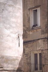 old abandoned building with cat