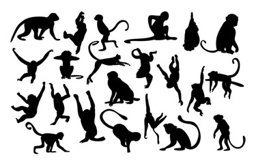 monkey swinging silhouette vector isolated © Ade
