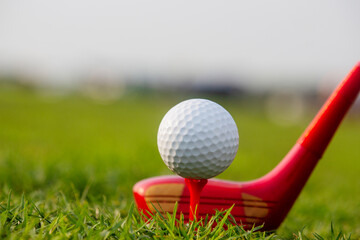 Golf clubs and golf balls on a green lawn in a beautiful golf course