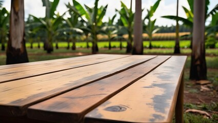 A shallow-depth-of-field close-up of a weathered, rustic wooden table, with visible wood grain and subtle scratches, placed in the midst of a lush banana forest, where the blurred background reveals r