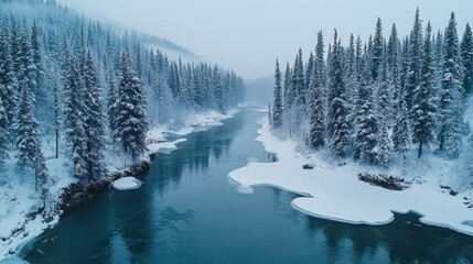 Fototapeta premium A magical winter wonderland with snow-covered trees and icy rivers, offering a tranquil and unique natural beauty
