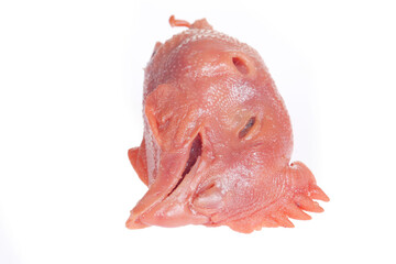 Chicken head on white background