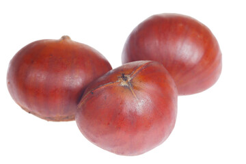 Chestnuts on a white background