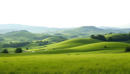 Fototapeta premium landscape with green grass and blue sky