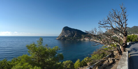 Russia, New World, Crimea. View of the bay in the resort village through the contrasting branches of a dead juniper tree.
