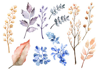 set of watercolor branches on white background